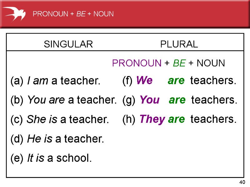 40 SINGULAR   (a) I am a teacher. (b) You are a teacher.